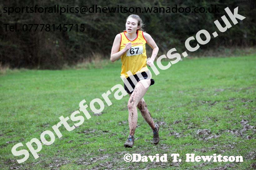 Senior girls Northern Inter Counties Schools Cross Country, Stockton. Photo: David T. Hewitson/Sports for All Pics